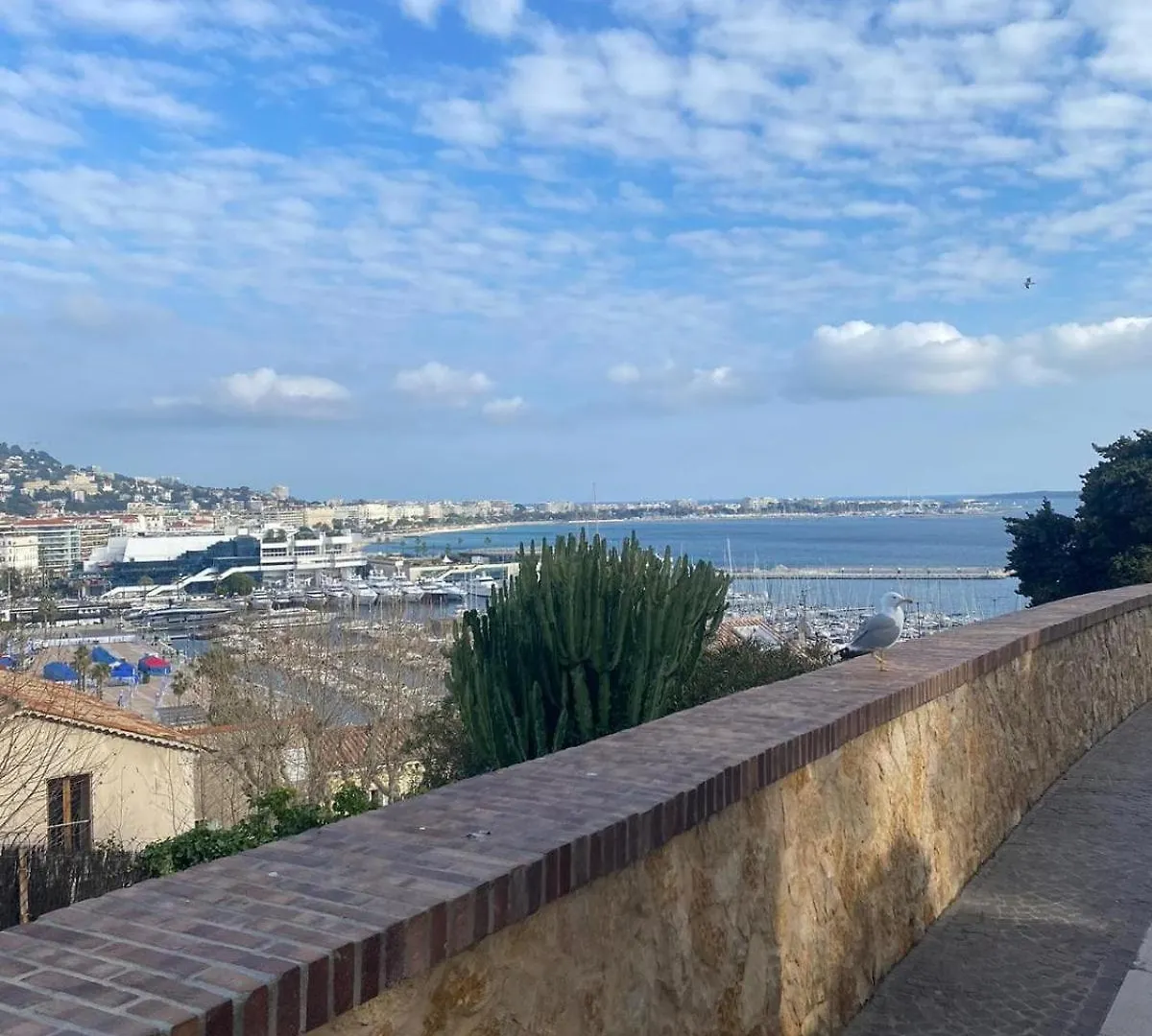 T2 Suquet Plages & Centre A Pied Cannes